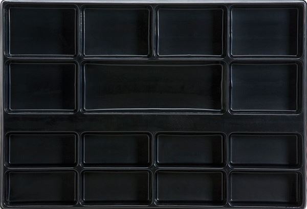 Picture of מגש גדול לכלים 15 תאים סיגנט