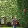 Picture of 51cm 550W Electric Pole hedge Trimmer BLACK & DECKER