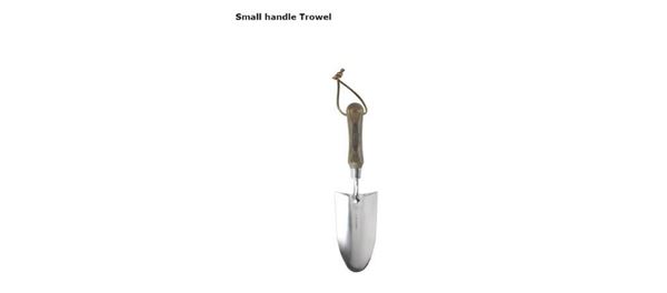 Picture of trad stainless hand trowel.ECLIPSE