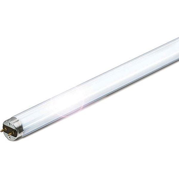 תמונה של פיליפס/אוסרם נורה פלורסנט T8- לבחירה