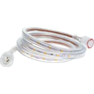 תמונה של סטריפ לד קיט 5 מ' 220V 10W כחול