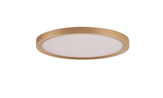 Picture of SLIM 40W CCT BRUSH GOLD 50CM