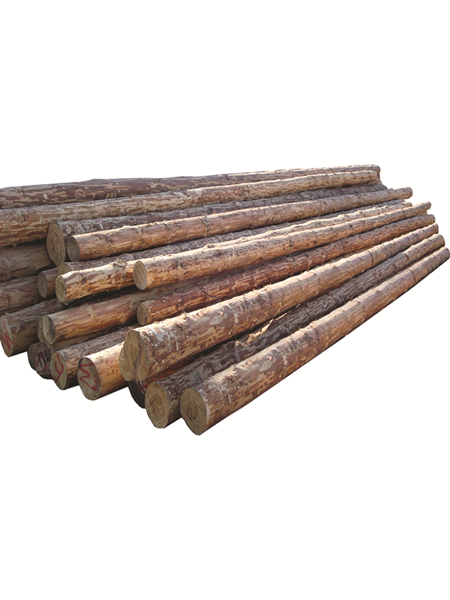 תמונה של עמוד עץ 8.5 מ' (לא כולל הובלה או העמסה)