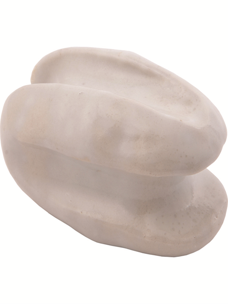 תמונה של ביצת עוגן