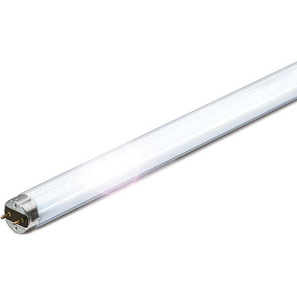 תמונה של נורה פלור' למקרר 90 ס"מ 30W גוון DL אור קר