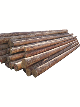 תמונה של עמוד עץ 10 מ' (לא כולל הובלה או העמסה)