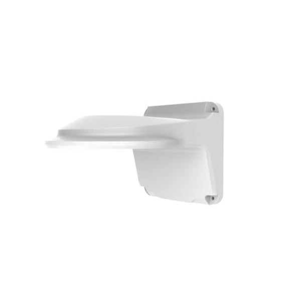 Picture of Fixe Dome Indoor Wall Mount