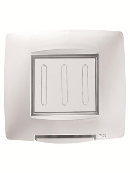 Picture of WATERTIGHT PLATE, 2-GANG IP55 WH