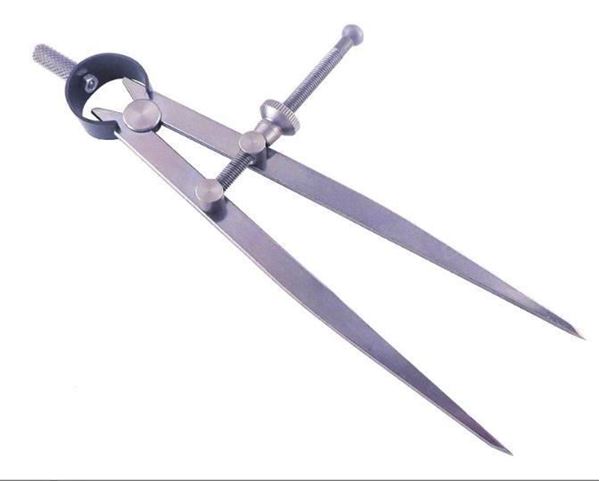 תמונה של מחוגת עוקצים