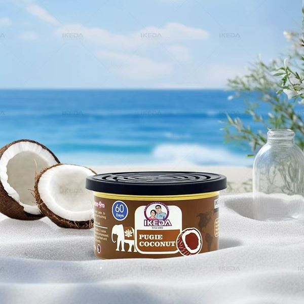 תמונה של פחית ריח לרכב קוקוס IKEDA